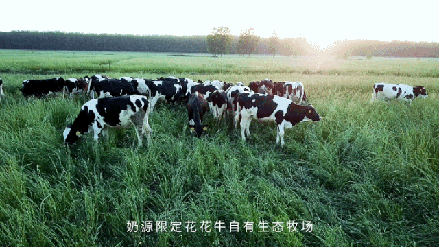 春風吹 戰鼓擂——不負春天好時光