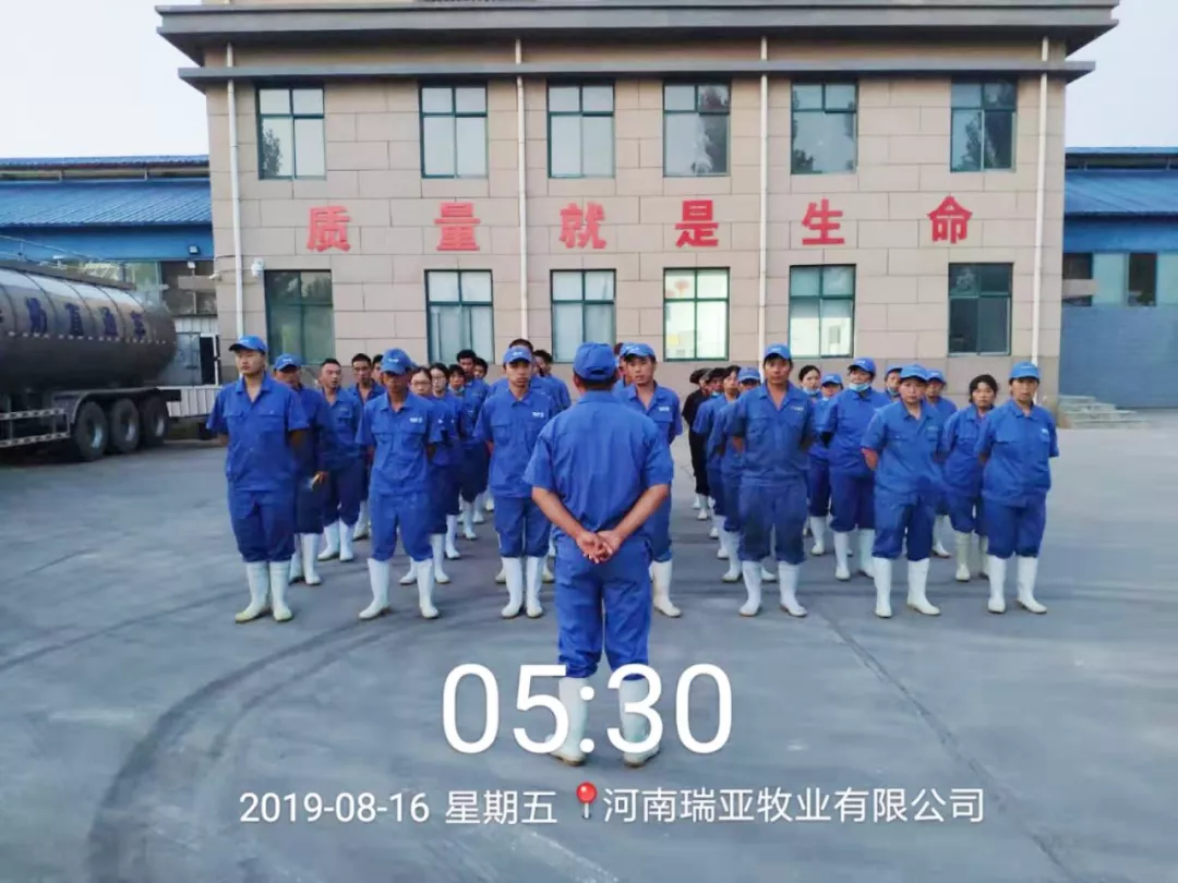 小晨會·大能量——砥礪奮進的花花牛，加油！