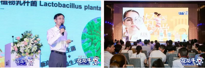 花花牛輕覺上市暨優質乳工程認證發布會，盛大啟幕！