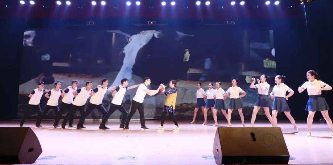 “贏在2019”，花花牛乳業集團2019年新春晚會盛大開幕