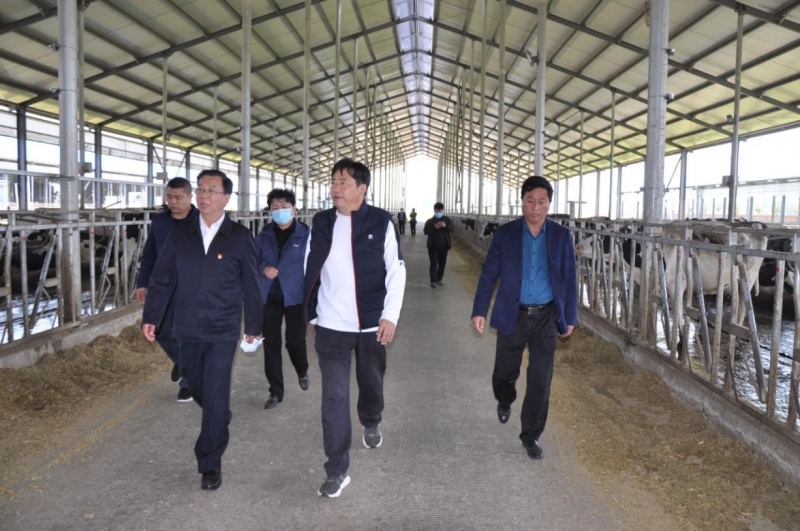 商丘市委常委、宣傳部部長王全周一行蒞臨睢縣瑞亞牧業有限公司調研